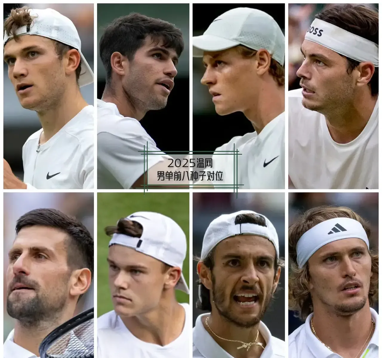 戴维斯杯碾压美网，兹维列夫带队取胜