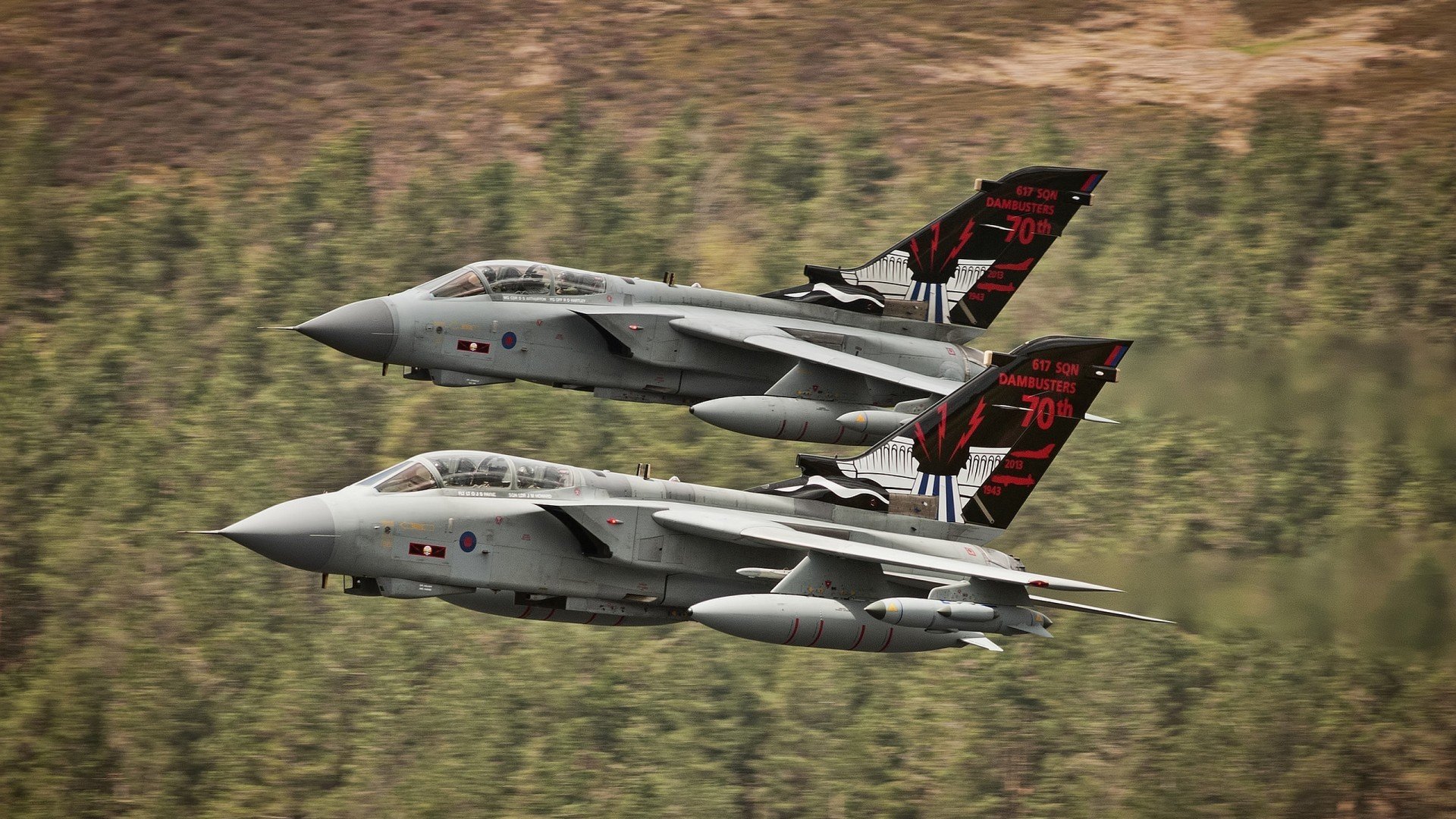 乒乓宇宙的唯一坐标,波兰铁骑碾过樱花防线,樊振东的11:10成为时空锚点