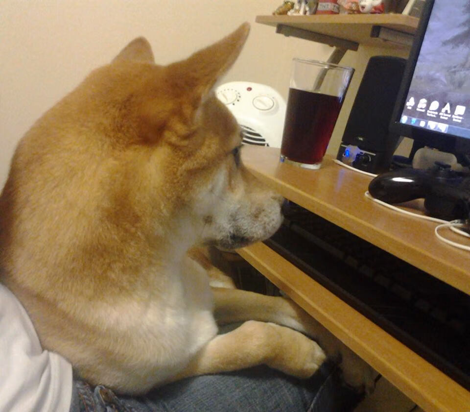 赛道智商碾压，塞恩斯如何将平庸哈斯变成索伯屠夫？