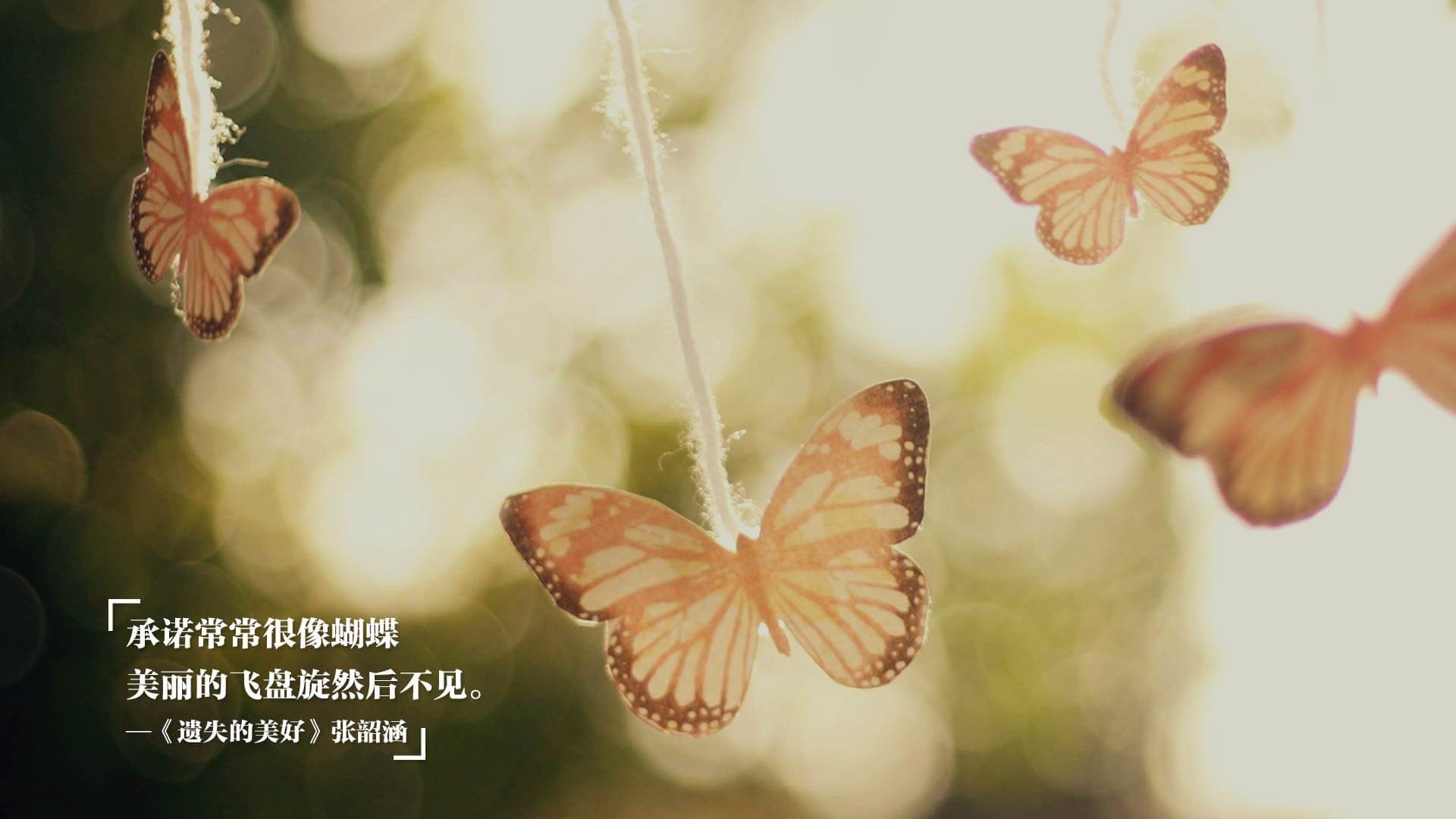 体育跨界盛宴，瑞典队轻取英格兰队，张继科统治全场