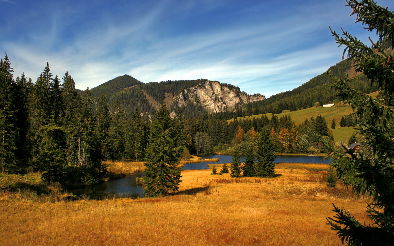 锡安狂轰40+10！活塞却用最锡安的方式赢下了比赛？