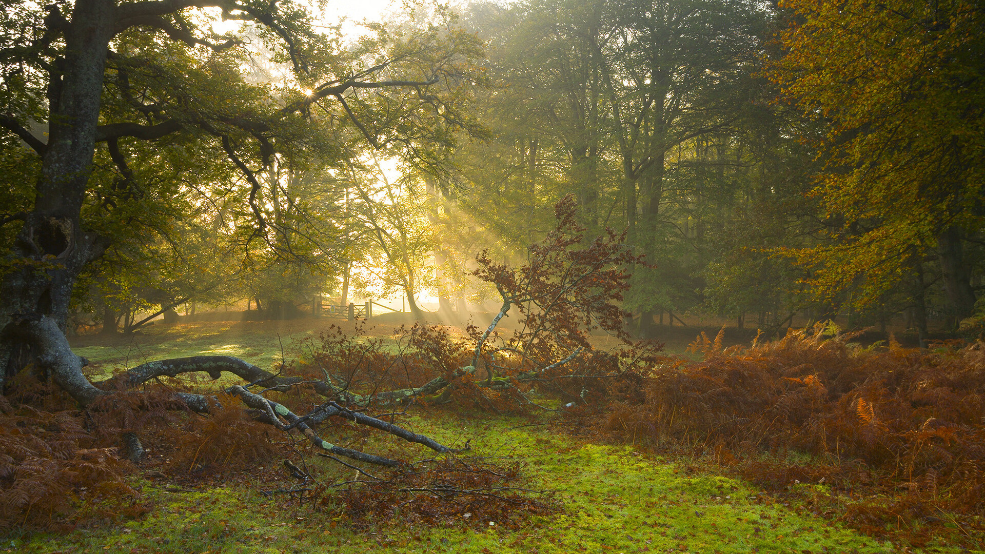 钢索上的冲刺，阿什拉夫铸就西班牙生死战胜利