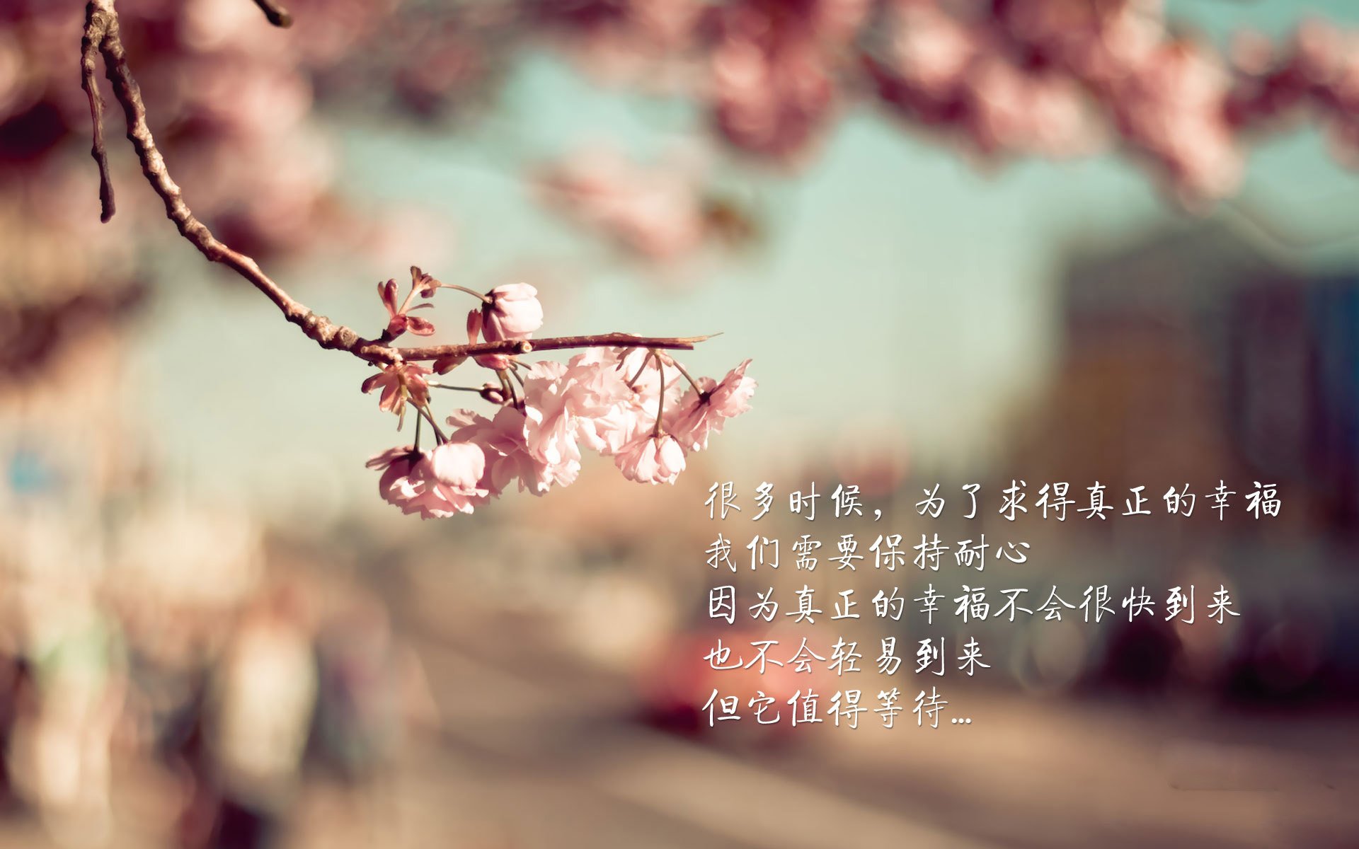 极速与绿茵，当F1争冠战遇上皇马在南非的强压