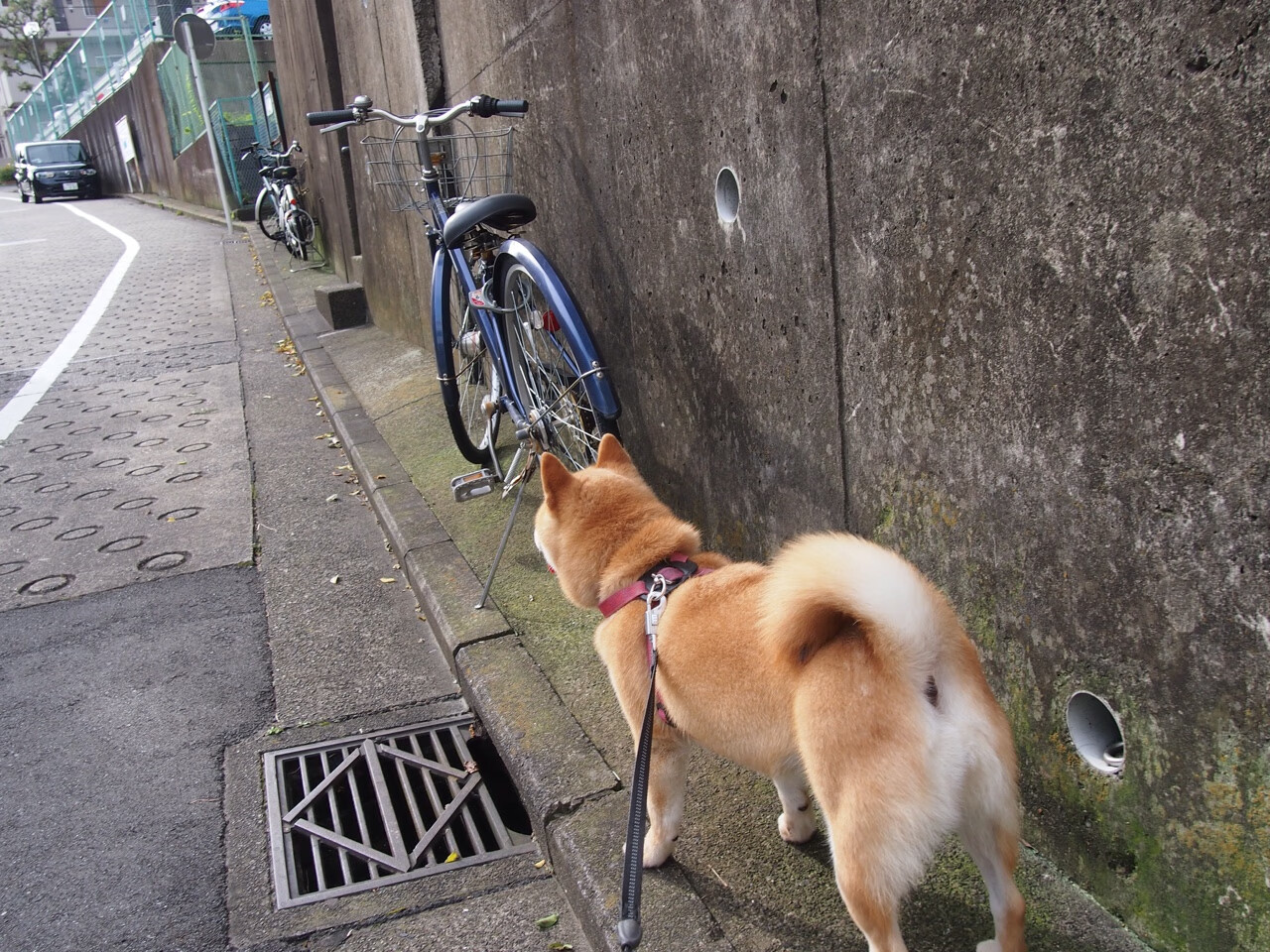 当红龙飞越诺坎普，一个关于渺小与伟大的双重史诗