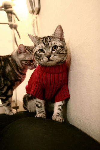 爱游戏在线-唯一绝杀！沙特首次加时取胜芬兰，阿坎吉一球封神成关键先生