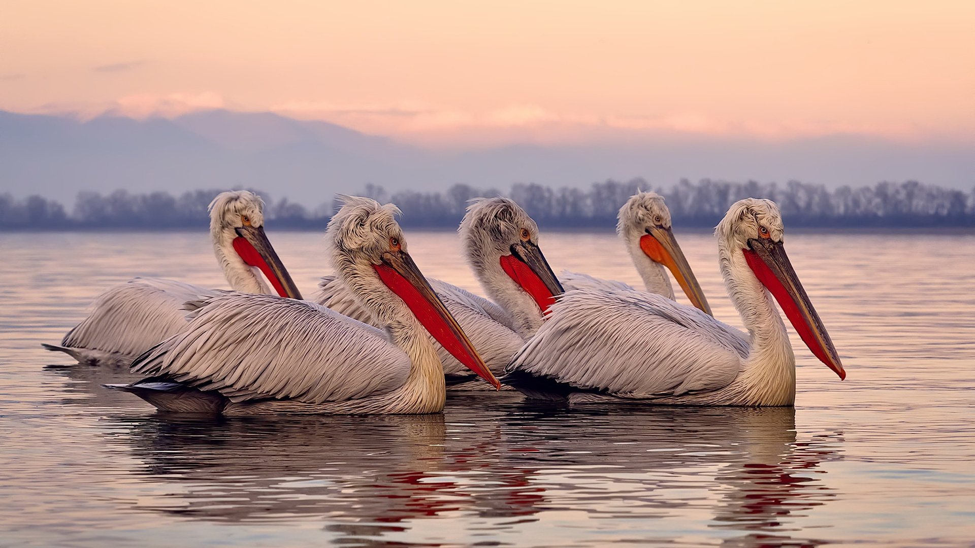 老骥伏枥，法比尼奥一剑封喉，乌拉圭逆天改命终结巴西神话