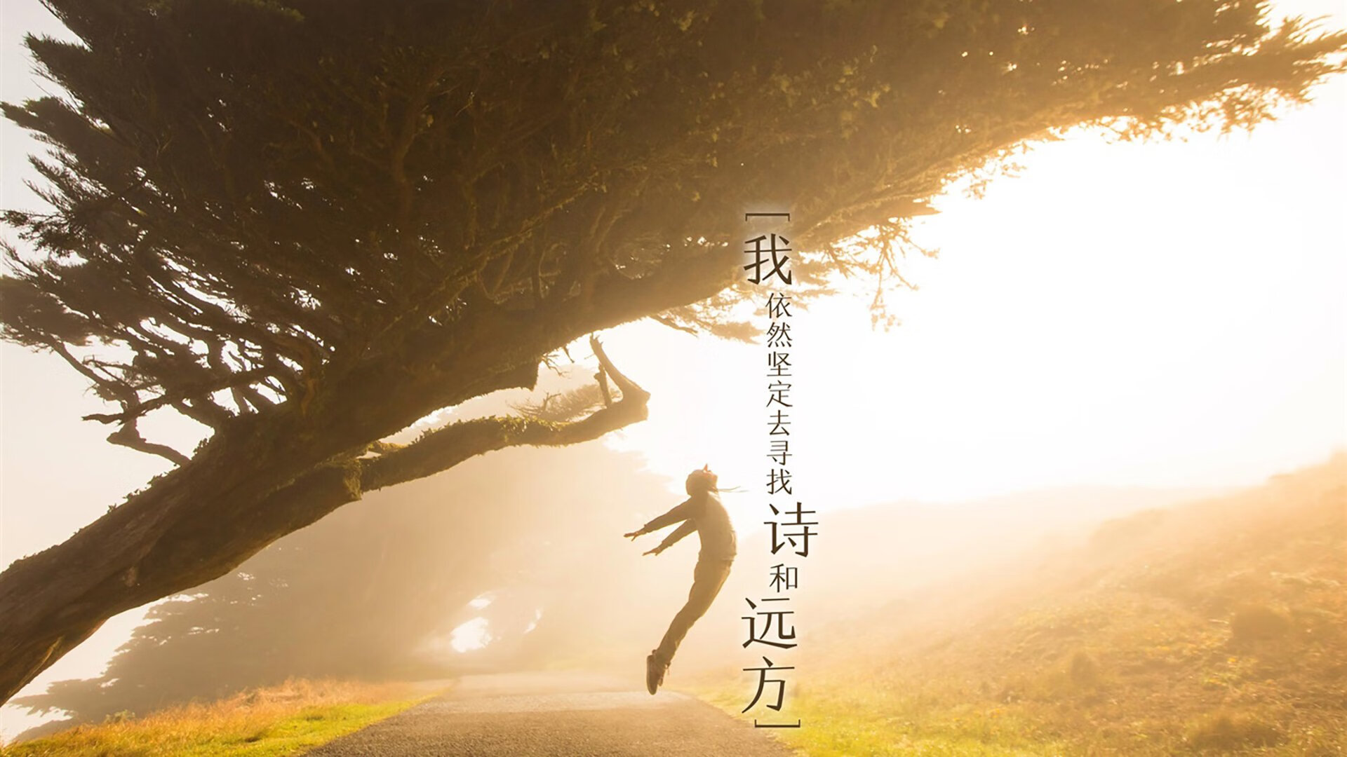 唯一性的交汇，西甲国家德比焦点战背景下，马里如何拿下阿尔及利亚的全球启示