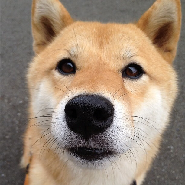 圣火之前，钥匙在手，布克于争冠战场与奥运周期交界处点亮接管之夜