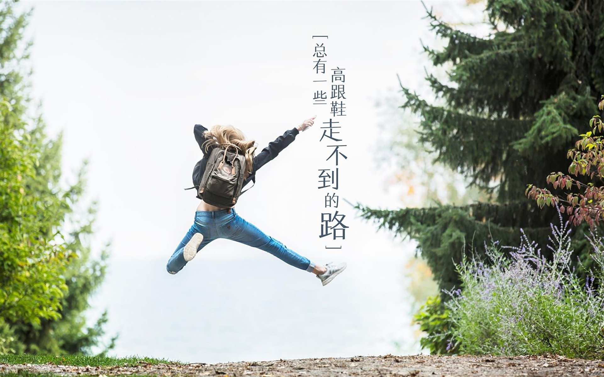 蓝黄之盾,厄瓜多尔如何在D组生死战中借萨内之钥锁死罗马尼亚
