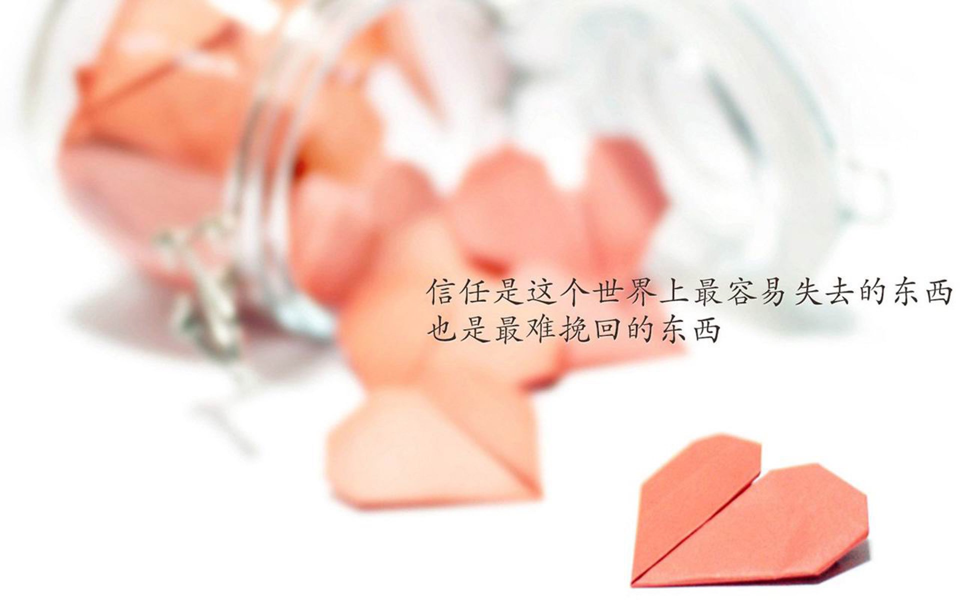 橙衣军团的叹息,当C罗在2026年D组战场化身厄瓜多尔第五根支柱