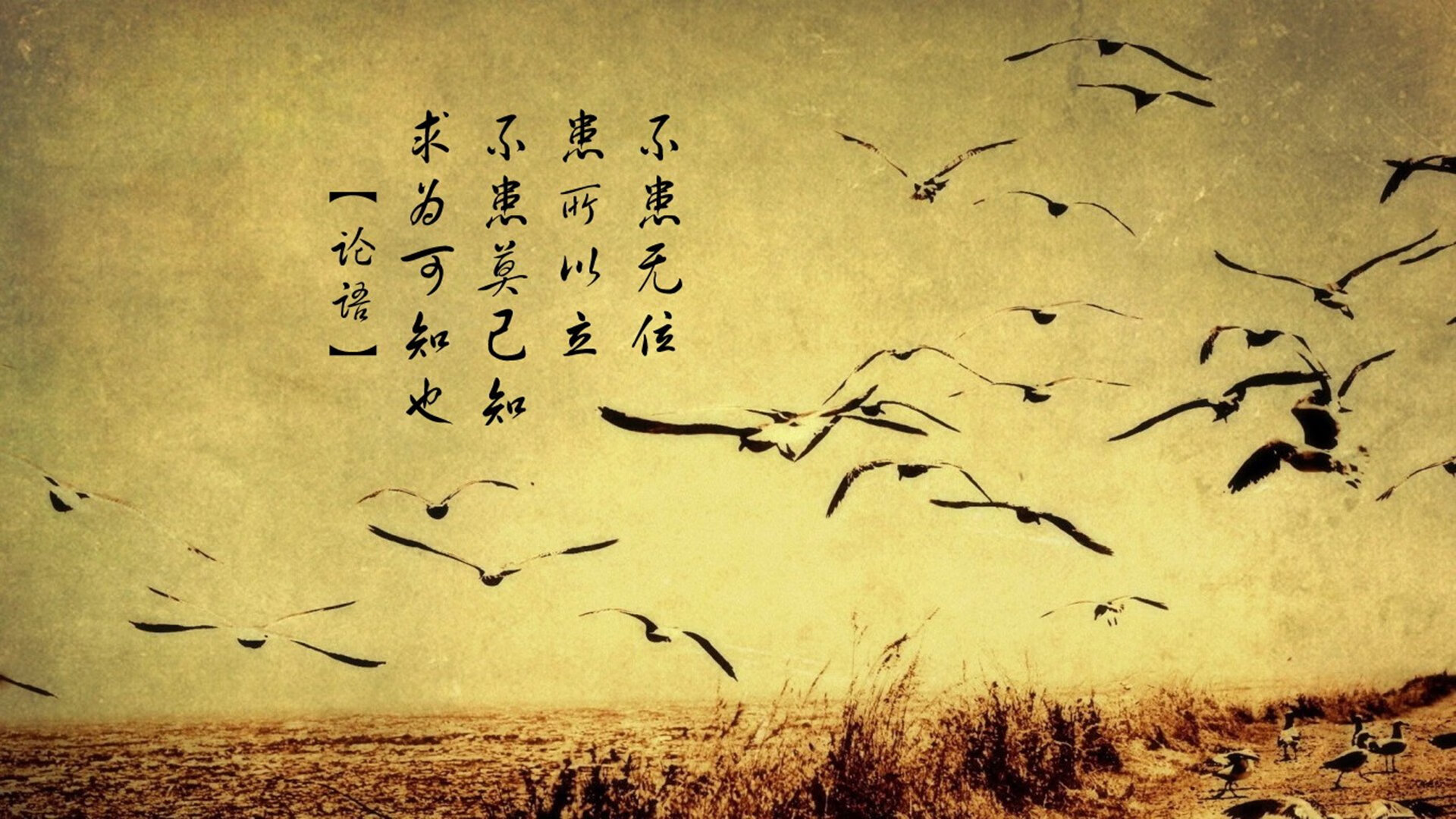 绿茵孤星,当魔笛奏响命运的唯一性—记美加墨世界杯焦点战,乌拉圭险胜英格兰,莫德里奇独耀苍穹